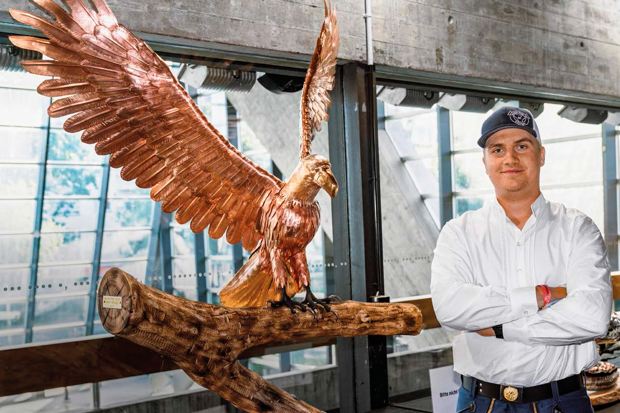 Opere impressionanti dal regno animale